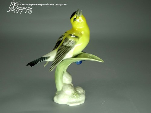 Купить фарфоровые статуэтки Hutschenreuther, Щегол черноголовый, Германия