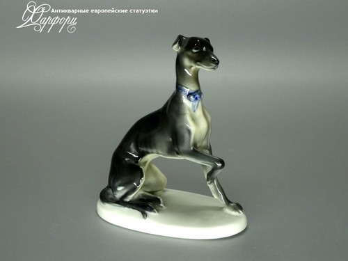 Купить фарфоровые статуэтки Rosenthal, Левретка, Германия