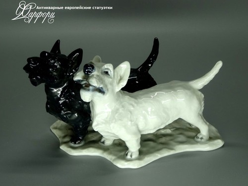 Купить фарфоровые статуэтки Rosenthal, Пара терьеров, Германия