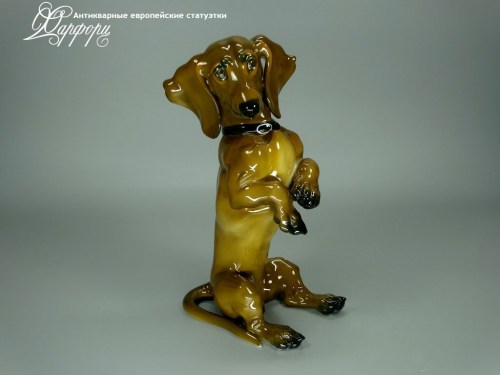 Купить фарфоровые статуэтки Rosenthal, Такса, Германия