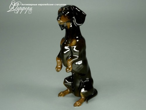 Купить фарфоровые статуэтки Rosenthal, Такса, Германия