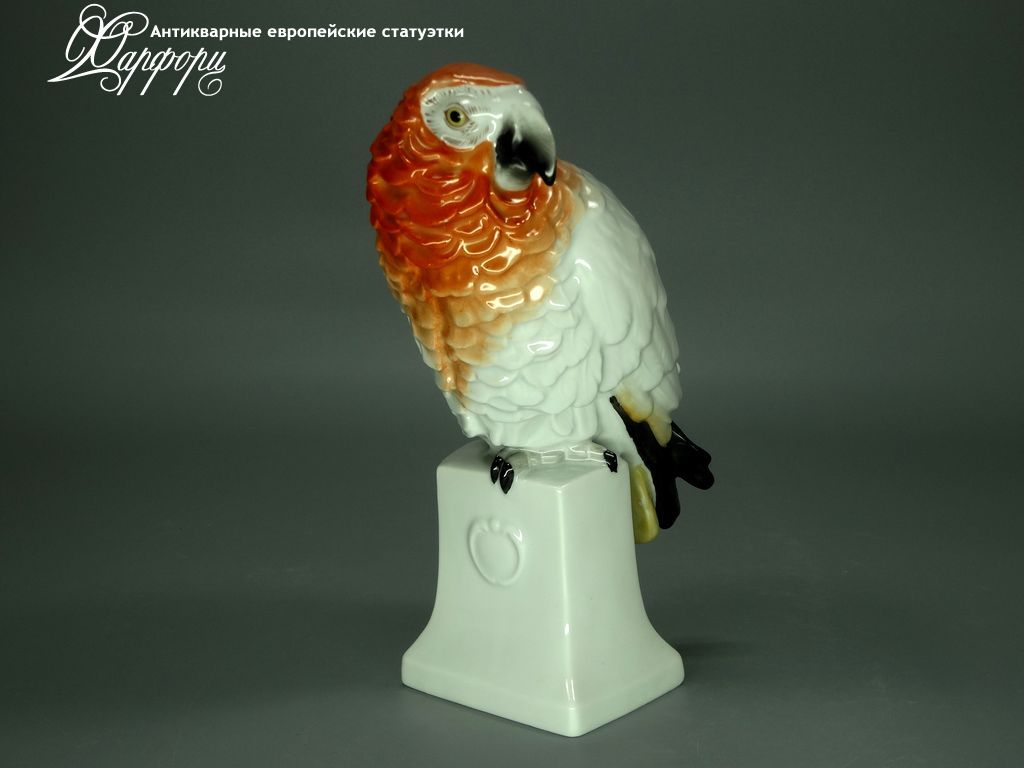 Антикварная фарфоровая статуэтка "Жако" Rosenthal Антикварная фарфоровая статуэтка "Жако" Rosenthal
