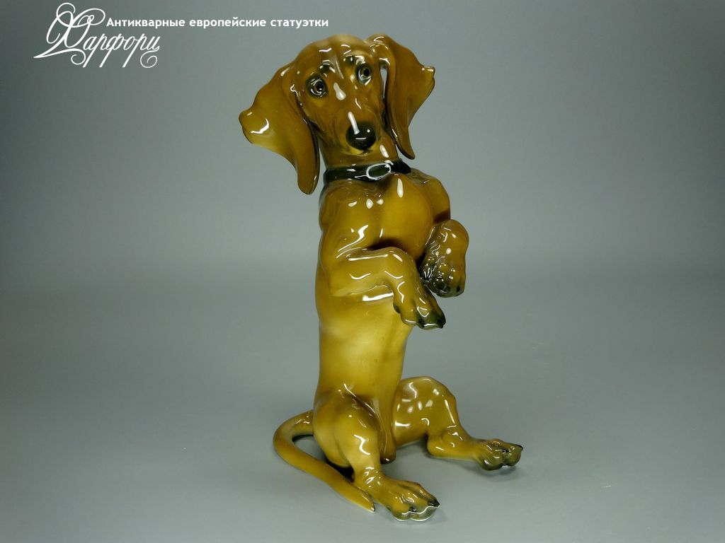 Антикварная фарфоровая статуэтка "Такса" Rosenthal Антикварная фарфоровая статуэтка "Такса" Rosenthal