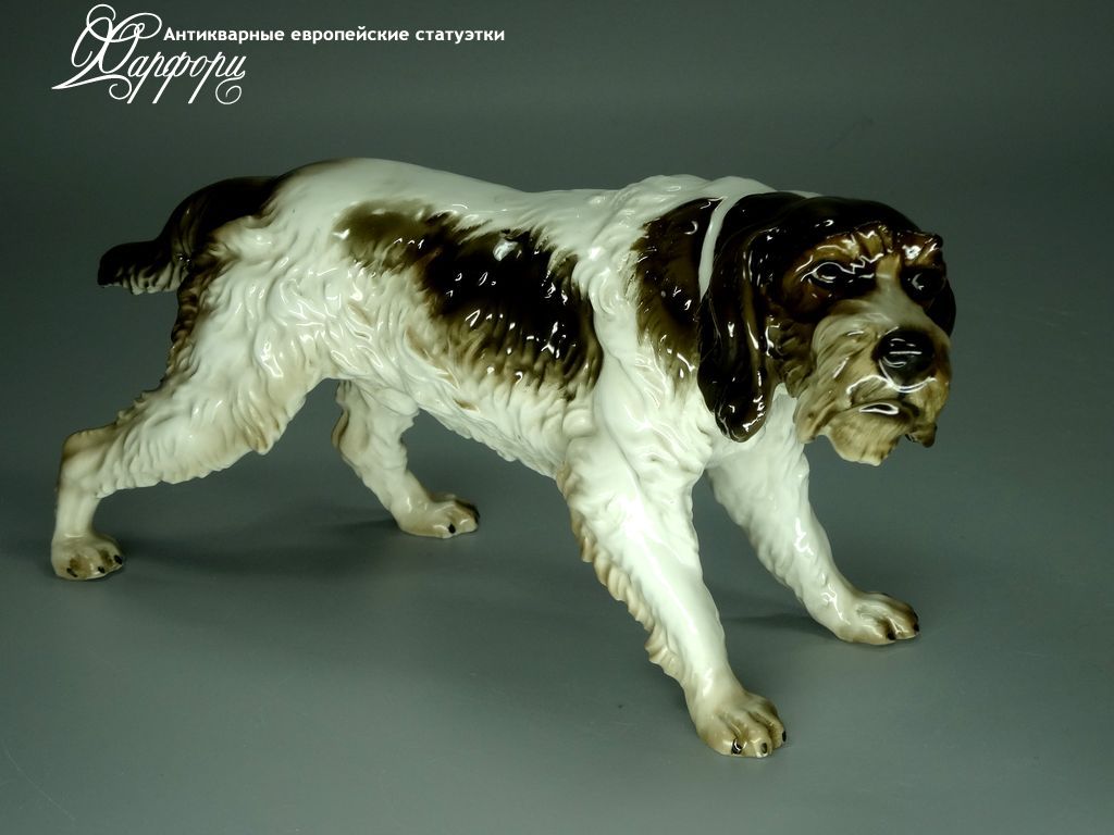 Антикварная фарфоровая статуэтка "Дратхаар" Rosenthal Антикварная фарфоровая статуэтка "Дратхаар" Rosenthal