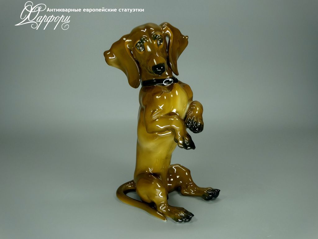 Антикварная фарфоровая статуэтка "Такса" Rosenthal Антикварная фарфоровая статуэтка "Такса" Rosenthal