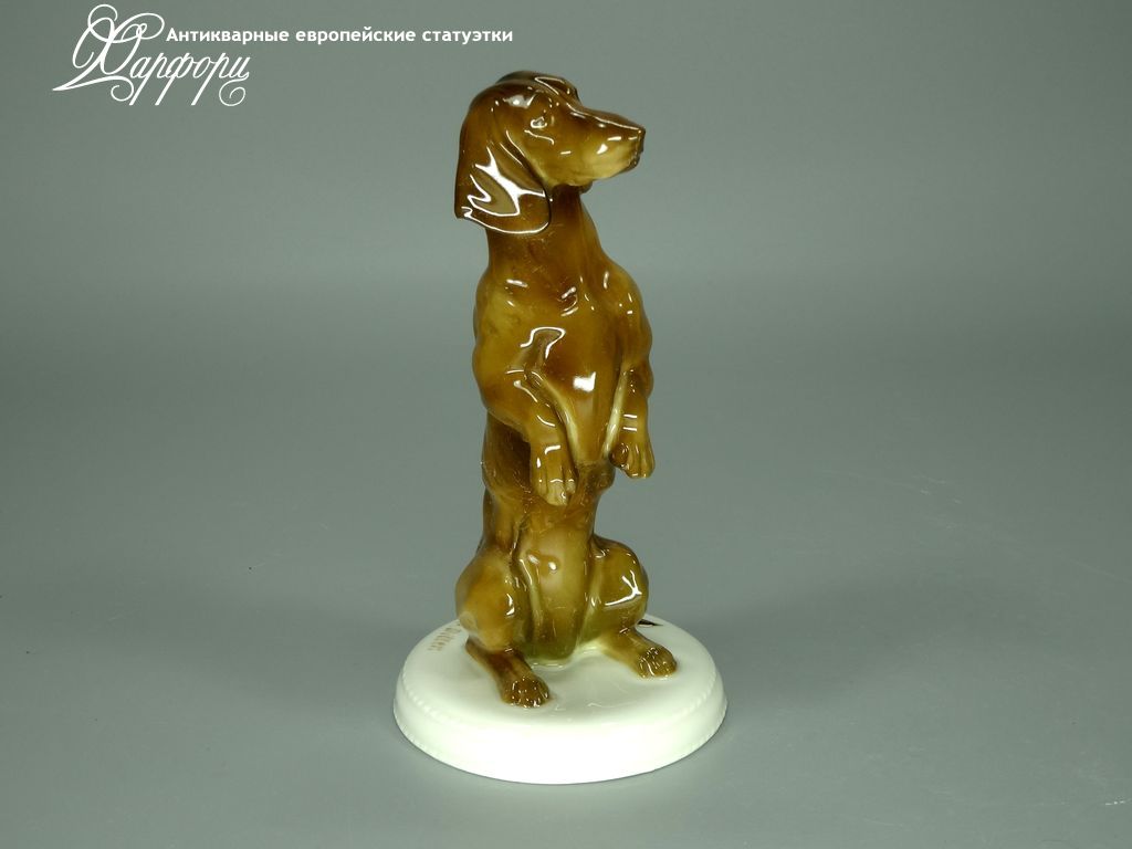 Антикварная фарфоровая статуэтка "Такса" Rosenthal Антикварная фарфоровая статуэтка "Такса" Rosenthal